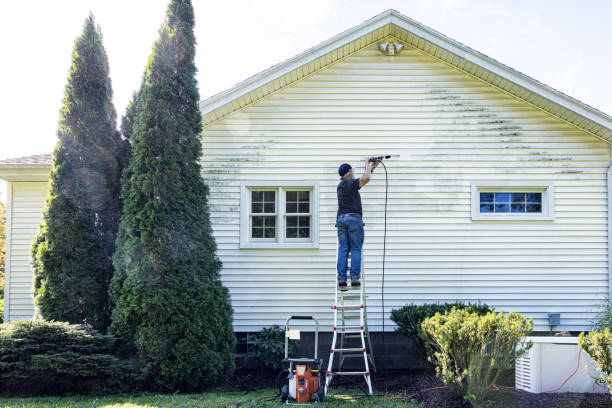 Professional  Pressure Washing in Cassville, WV